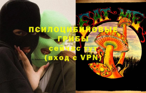 ALPHA-PVP Инсар