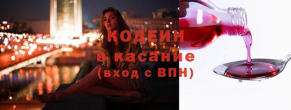индика Заводоуковск