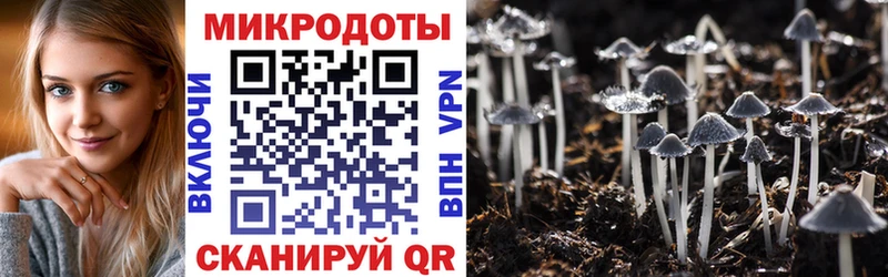 Купить закладки  Мантурово  Галлюциногенные грибы Cubensis 